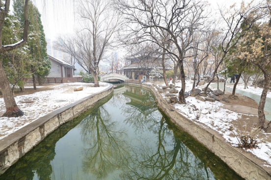 人民公园内，枝头凝霜，草木与白雪相映成趣