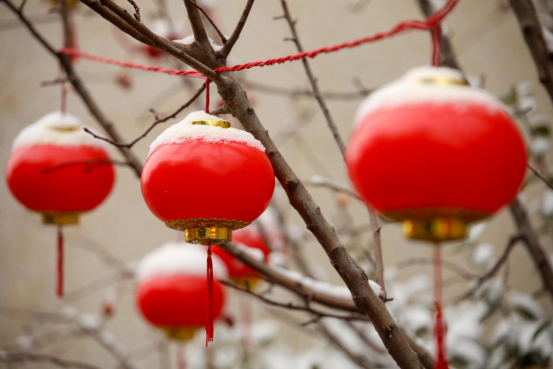 二宫公园里勾勒出“正月十五雪打灯”的诗意景致