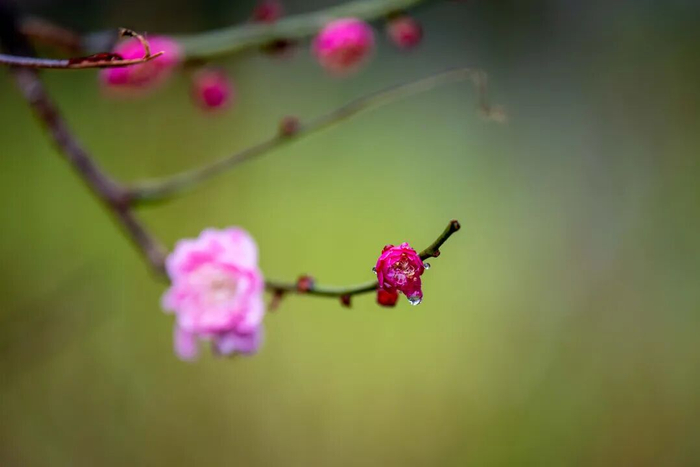 新华社发（杨玉岗 摄）