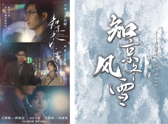 《知京冬风雪》原著封面及短剧海报