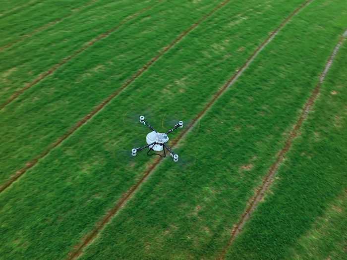 不误农时，无人机“飞播”为小麦施肥。鸠江区委宣传部供图