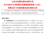 东宏股份“0元购”关联交易背后：5000万元“彩礼”娶个“零营收新娘”？