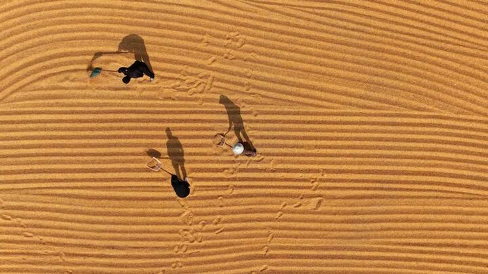 2025年10月28日，在山