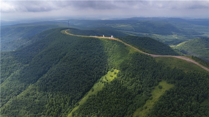 2025年8月9日拍摄的塞罕坝机械林场。河北日报资料片