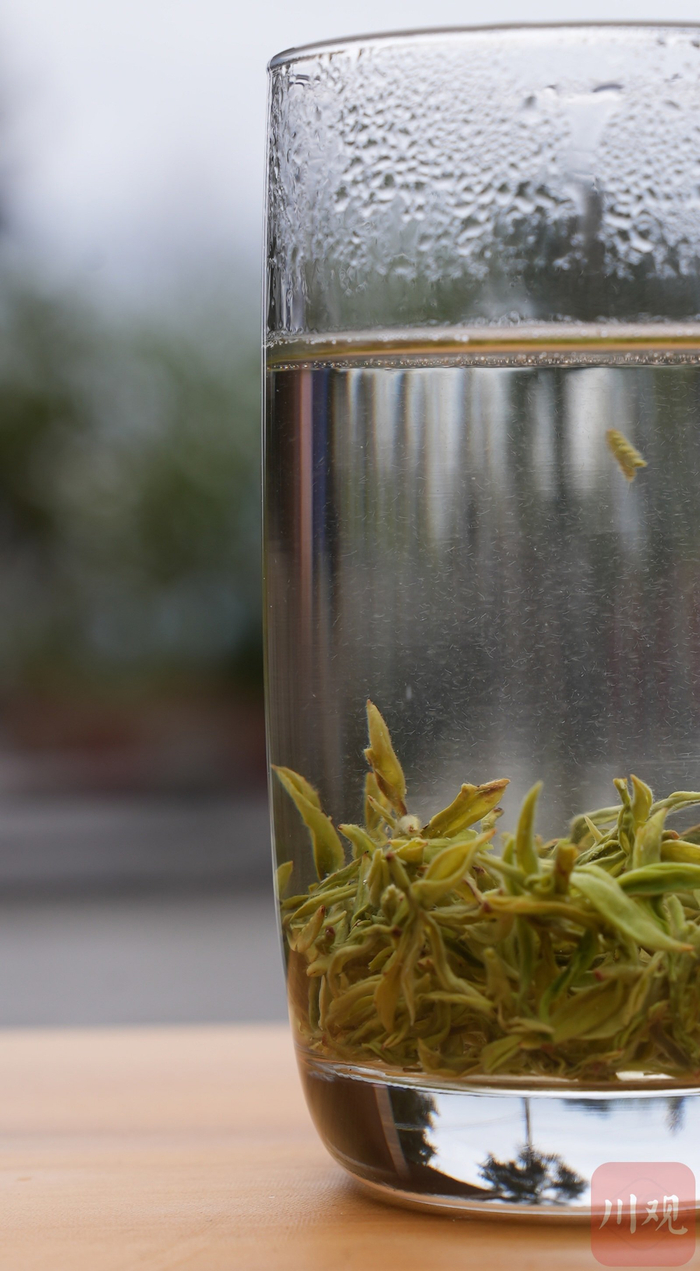 将新制的茶叶冲泡，茶毫清晰可见。