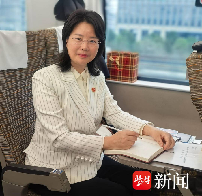 代表刘静瑜：关注能源安全，研发电池能让电车轻松跑1000公里_手机新浪网
