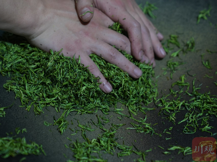 手工制茶主要分四步：杀青、揉捻、提毫、挥锅。图为童浩在手工制茶。