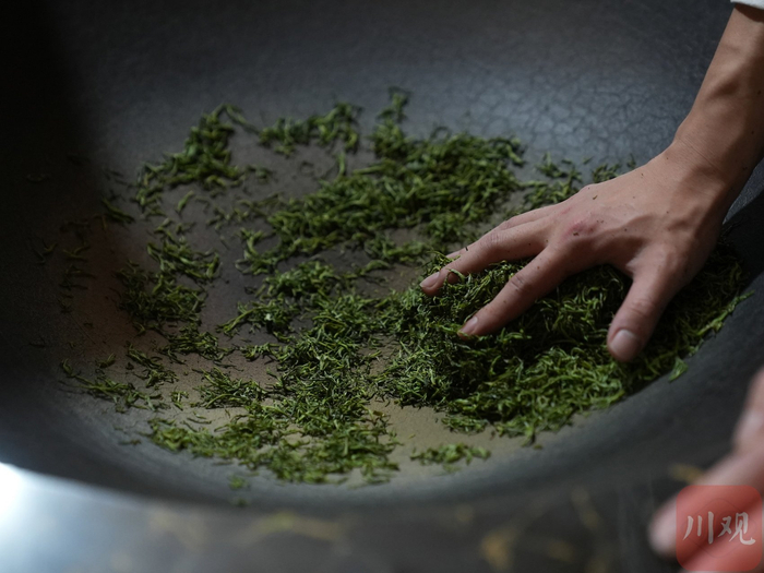 对茶叶进行揉捻。