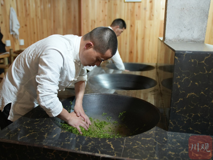 童浩（左）与父亲童云祥（右）一道手工制茶。