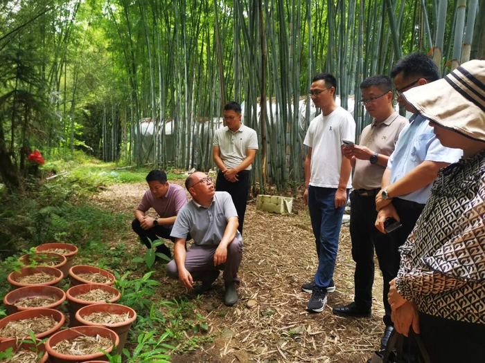 专家团队下沉一线实地指导