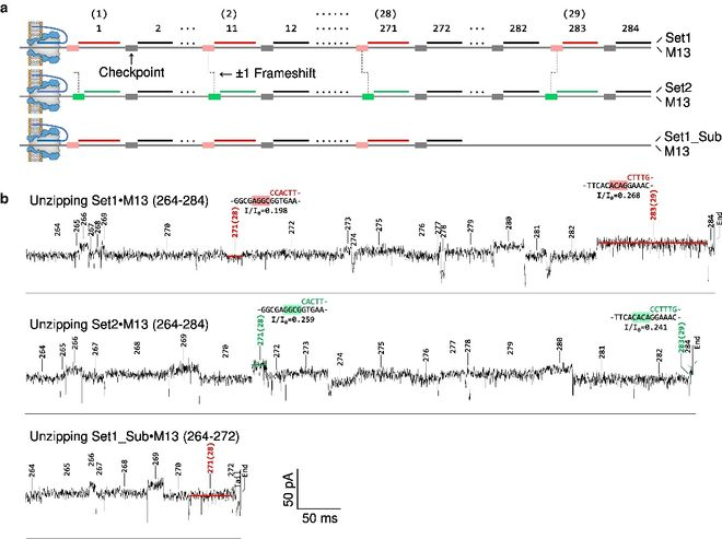 （来源：PNAS Nexus）