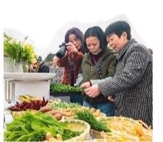 花田里的火锅集市。活动方供图