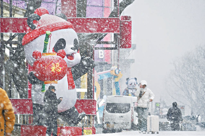 　　昨天，鹅毛大雪洋洋洒洒飘落京城。 本报记者 程功摄