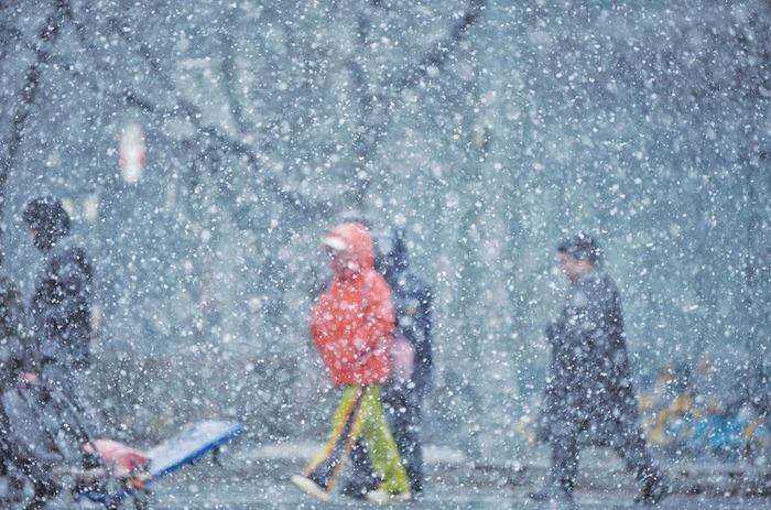 3月4日，朝阳路，行人在大雪中过马路。新京报记者 薛珺 摄