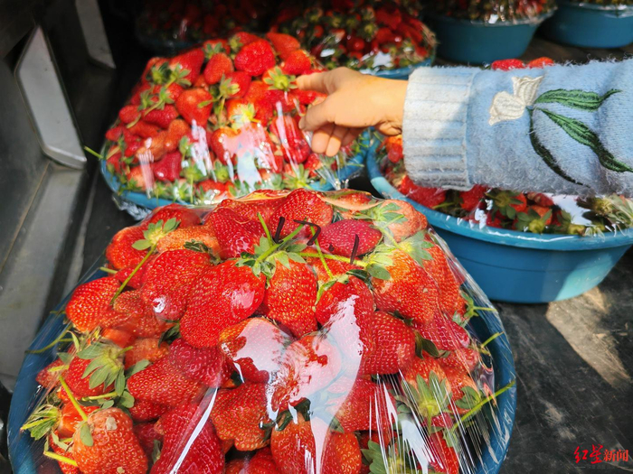 ▲西昌街头按盆卖的草莓