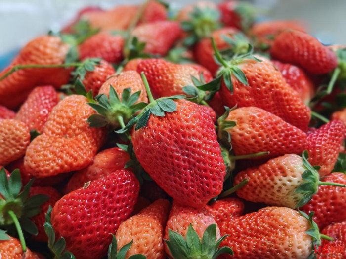 ▲2元一斤的草莓