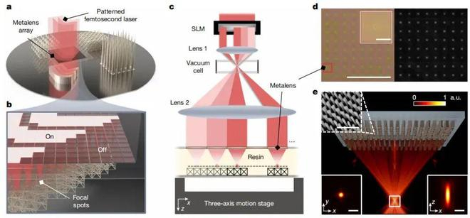 （来源：https://www.nature.com/articles/s41586-025-09842-x）