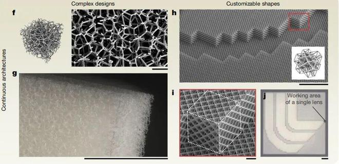 （来源：https://www.nature.com/articles/s41586-025-09842-x）