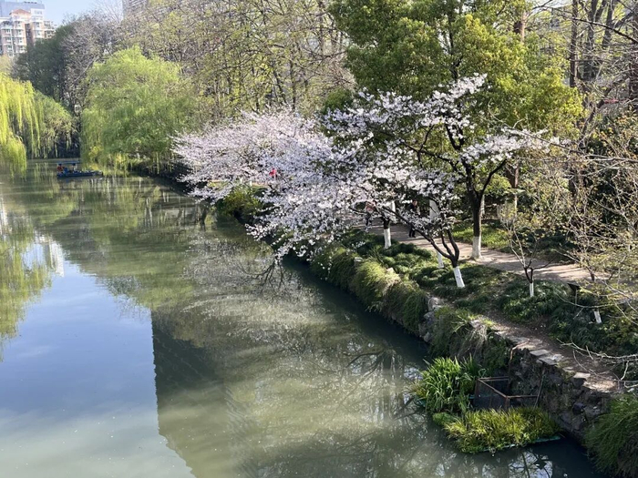 每满记者 方薇 摄
