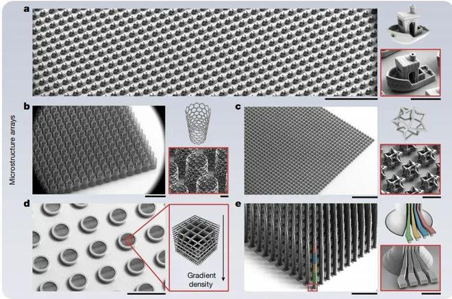 （来源：https://www.nature.com/articles/s41586-025-09842-x）