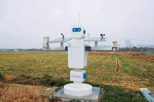 图源 农民日报