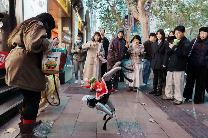 魔法原子四足机器狗MagicDog在店前迎宾，展示倒立技能，吸引市民游客观看。受访者供图