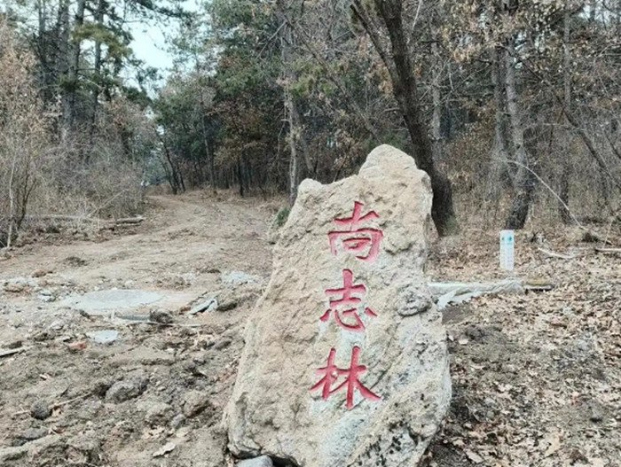净月潭森林公园的“尚志林” 资料图片