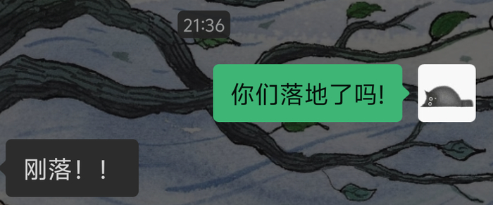 记者和沈女士的聊天记录