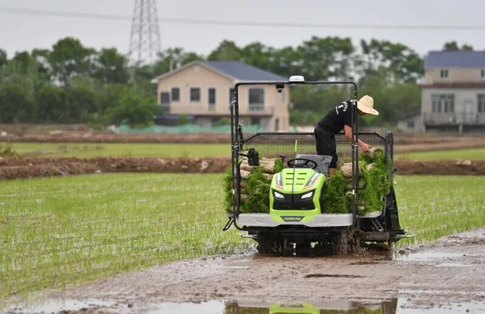 图源：中国三农发布