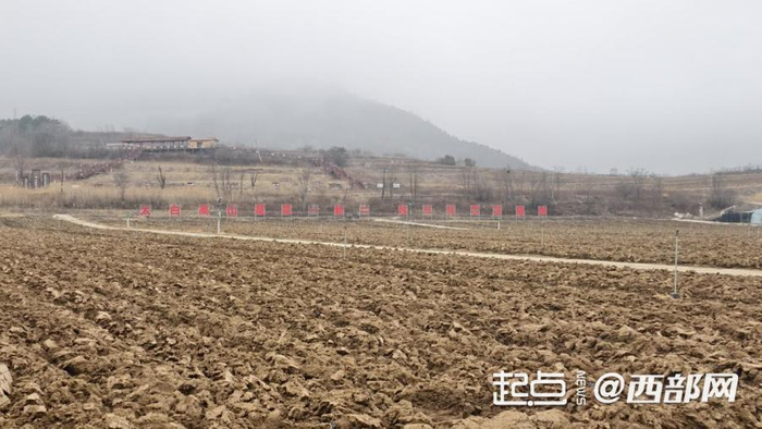 高山蔬菜生产基地