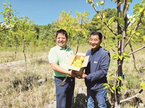 村民收获的水果。刘红 摄