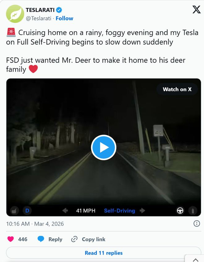 ▲海外媒体Teslarati称特斯拉FSD检测到路边动物并自动减速