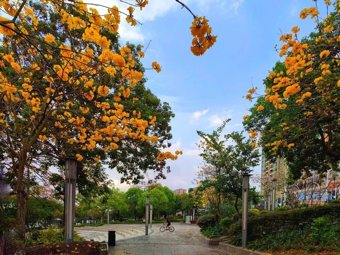 （图片来源谢悦）