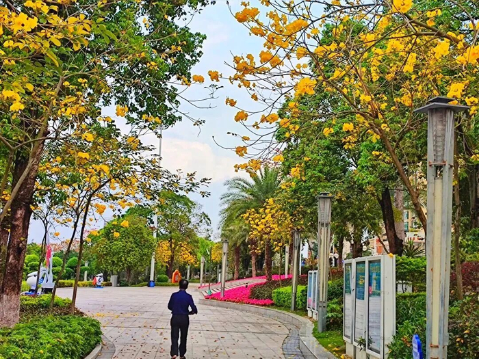 （图片来源谢悦）