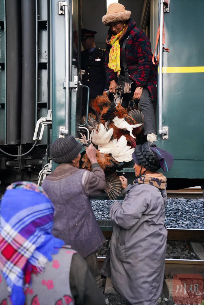 乘客带着牲畜登上慢火车。吴聃 摄