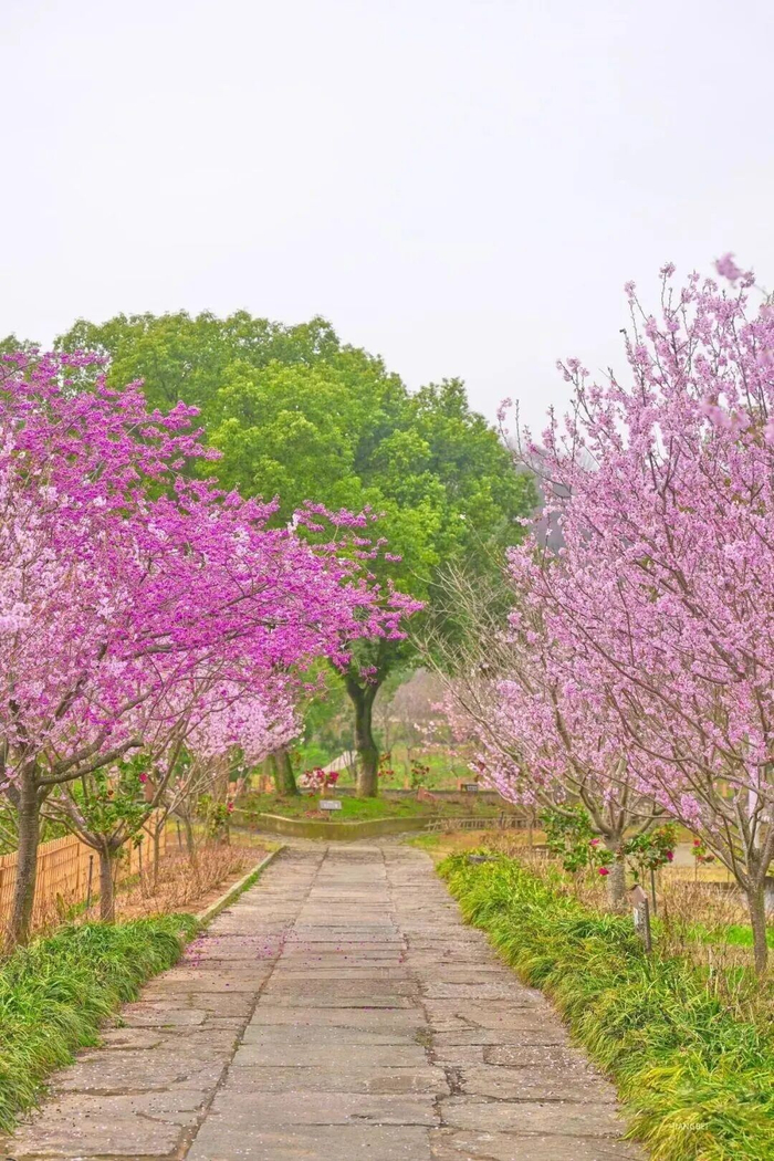 绿野山居。图源：江北文旅