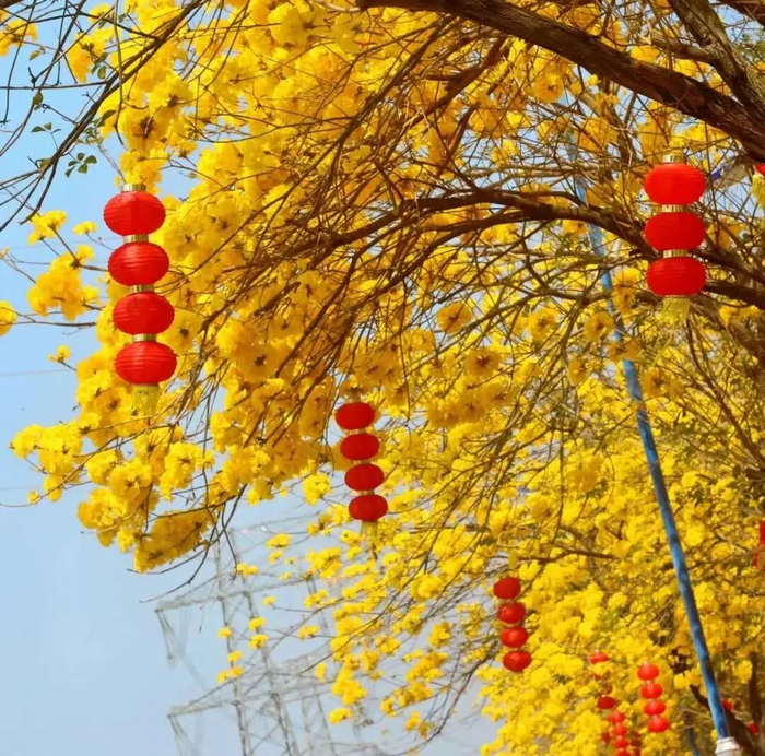 （图片来源博罗旅游）