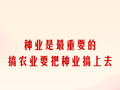 金句来了！总书记“下团组”再提“三农”