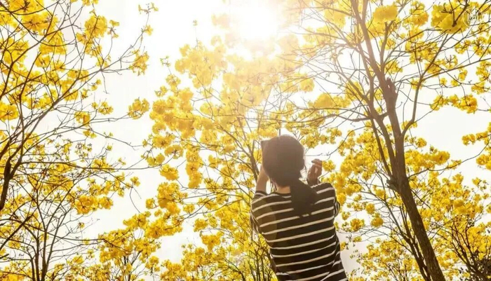 （图片来源博罗旅游）