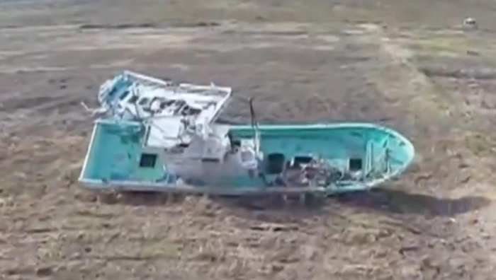 福岛（央视新闻视频截图）