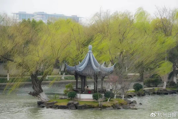 图源：“嘉兴发布”微信公众号