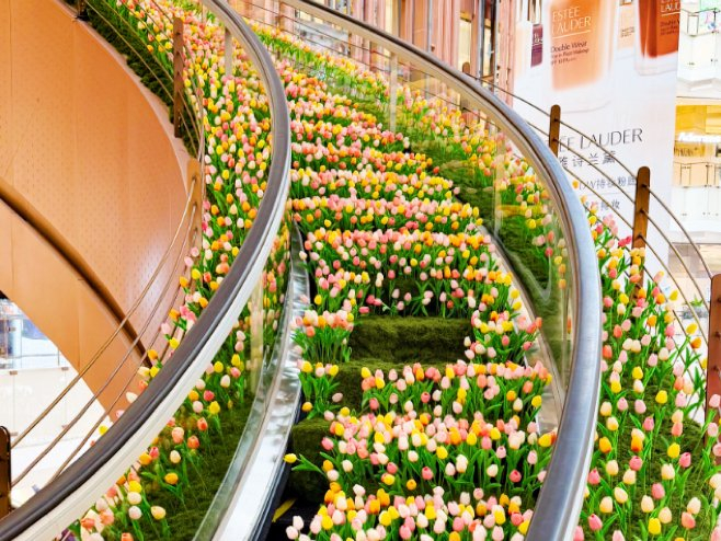 “鲜花瀑布”。受访对象供图