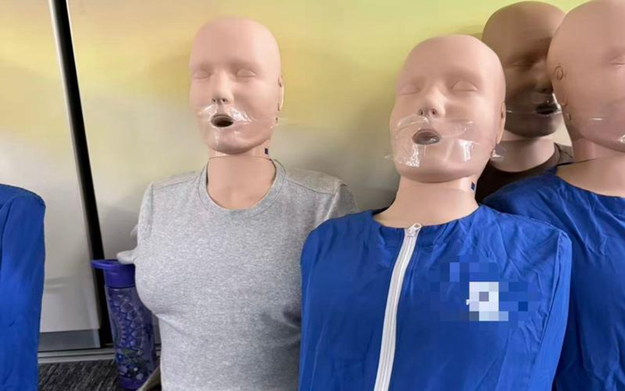 杨可收到来自澳大利亚朋友拍摄的女性模型（左侧灰衣服）。 受访者供图