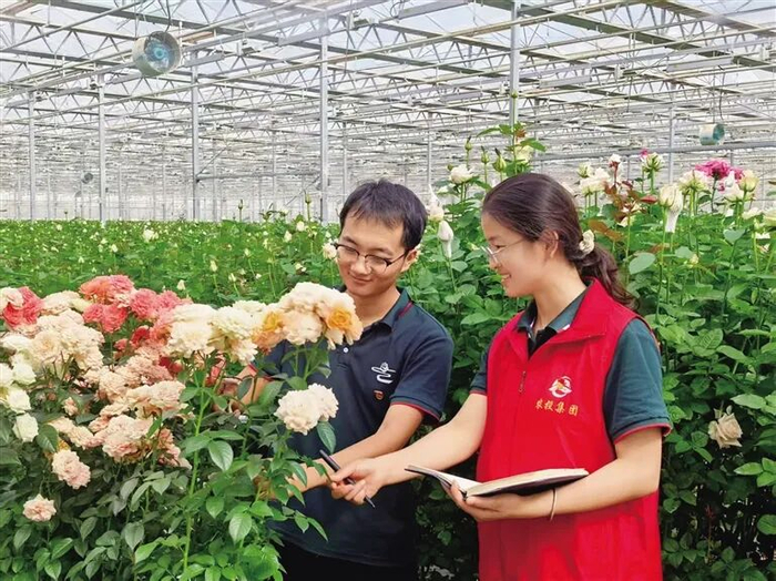 兰州新区花卉种植基地