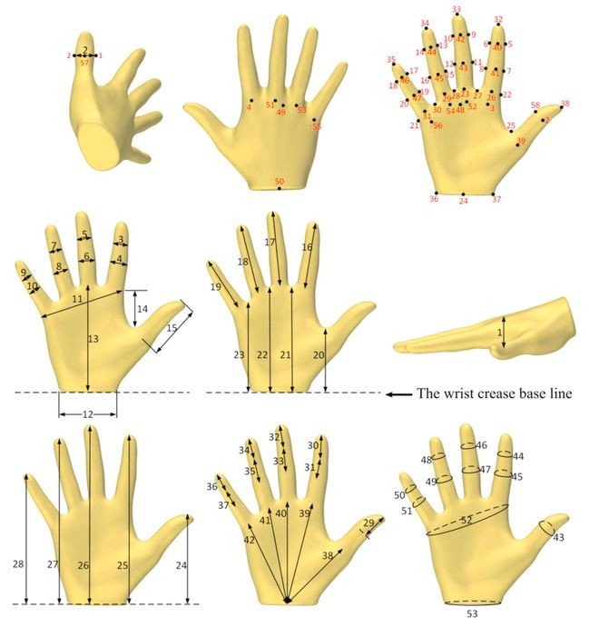 人体运动维度示意图｜图片来源：ScienceDirect