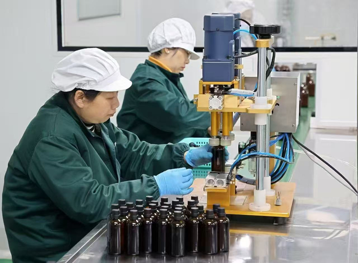 李时珍医药集团技术人员正在研发蕲艾精油 黄冈日报记者 余涛 周伟 摄