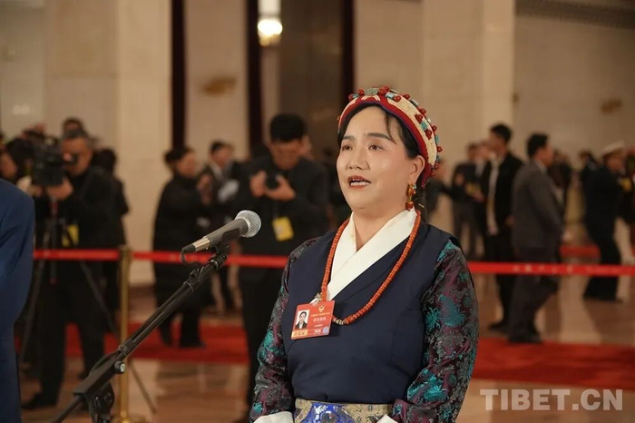 全国政协委员、西藏藏医药大学藏医系教授明吉措姆提出，医疗人才“组团式”援藏让当地医疗服务得到质的提升