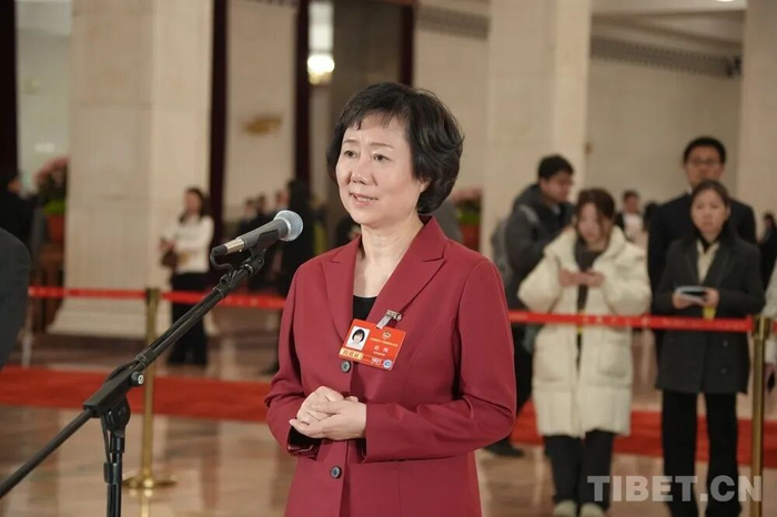 全国政协委员、中国社会科学院美国研究所研究员赵梅讲述了不同文明包容共存交流互鉴的温暖故事