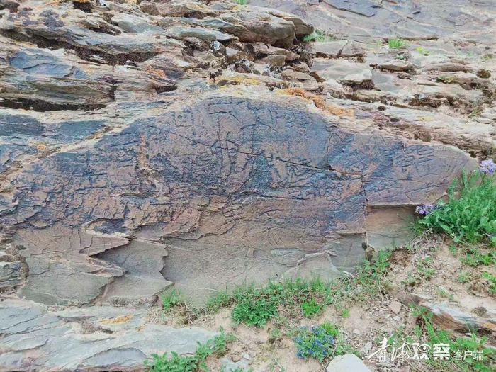 尕日塘秦刻石。侯光良供图