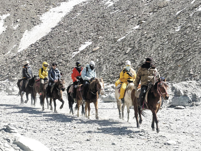 “拉马经济”。王晶 摄